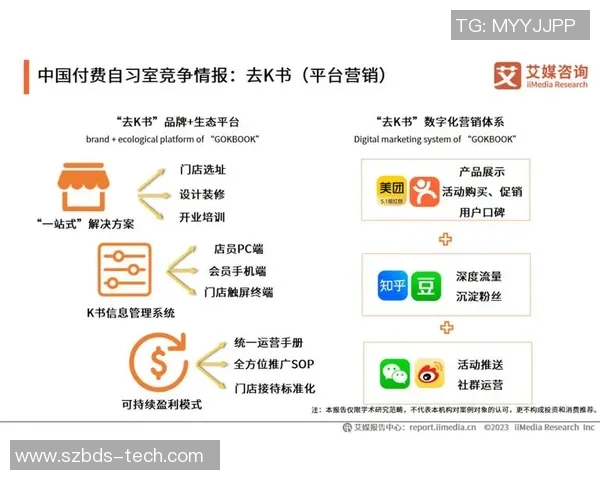 足球购买记录分析与消费趋势研究报告